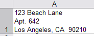 A mailing address typed into Excel